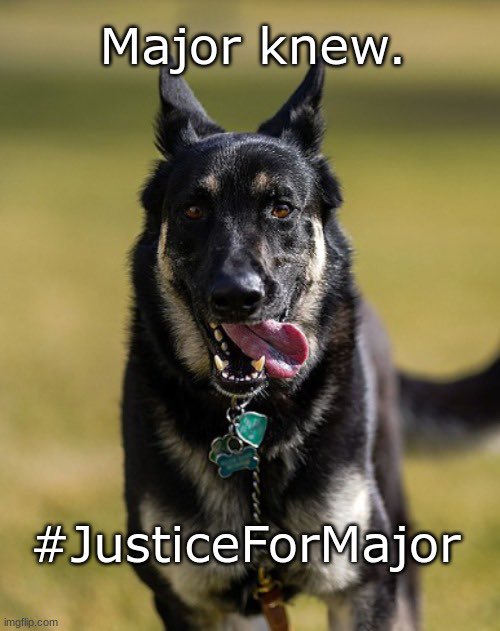 <a href="/Jeffdc5/">Bad Faith ✝️🐴🇺🇲🌻🇺🇦</a> It was Major First biting the Hell out them Hacks🐾🔥