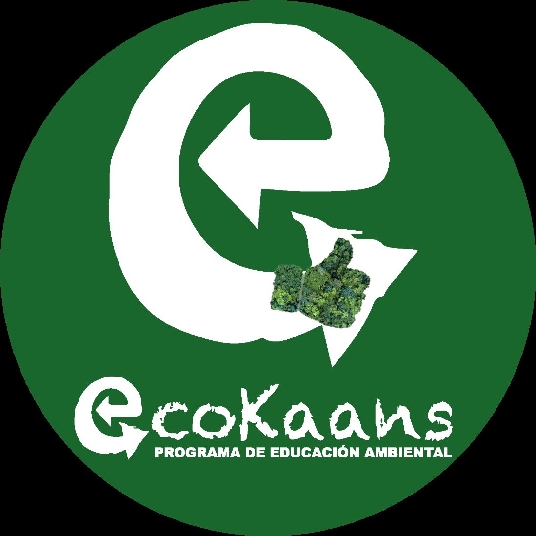 🌐EFEMÉRIDES AMBIENTALES DE AGOSTO,
by @EcoKaans 🌱
Le damos la bienvenida a nuestro Calendario de Efemérides. Es una recopilación cuidadosa de días internacionales, mundiales y nacionales, que destacan elementos y luchas relacionadas con la crisis climática y el medio ambiente.