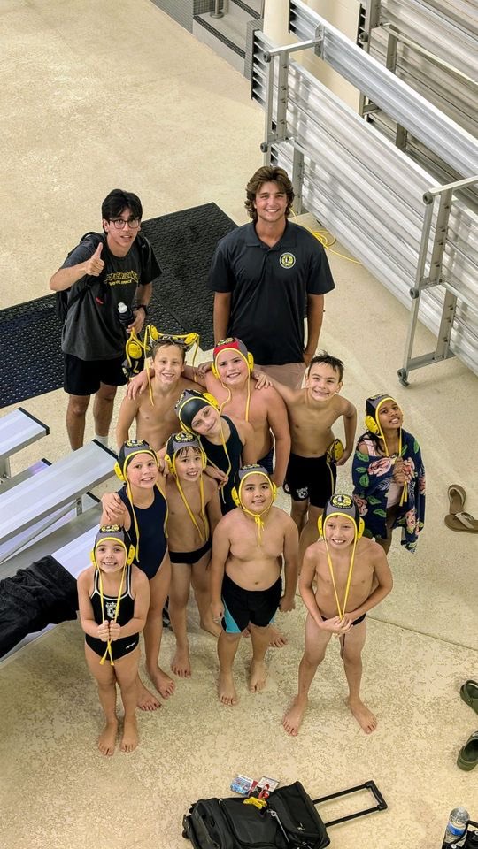Mavericks Water Polo Club tweet media