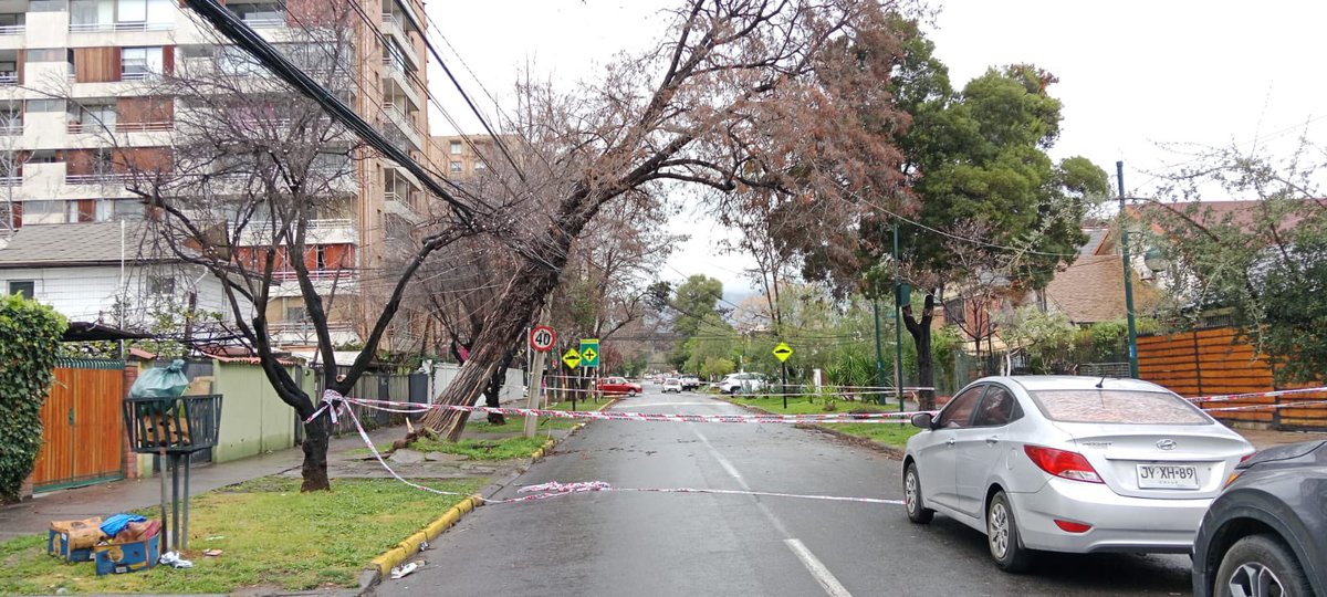 lmvl73's tweet photo. Ahora en Juan Francisco González con pucara en ñuñoa sin luz porque ni @EnelChile ni @MuniNunoa se hacen cargo de sacar un árbol para que nos vuelva la luz @biobio @T13 @Cooperativa @meganoticiascl @TVN https://t.co/qCloPcC7ue