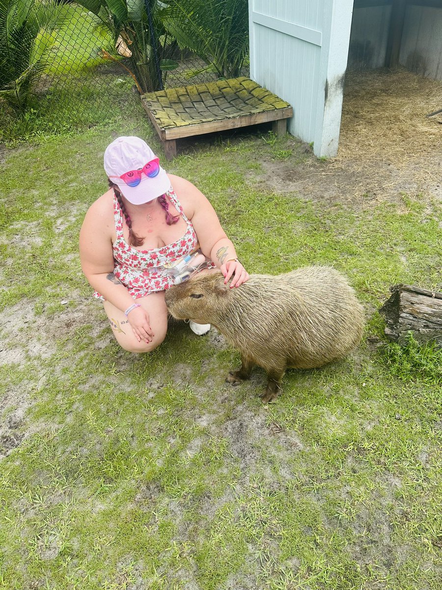 shypeachgg's tweet photo. We met some very cool animals today at @AmazingAnimalsi in St. Cloud! 

Also learned about the awesome work they’re doing to help save our furry, feathered, and scaly friends ❤️ https://t.co/wgGPkbbk69