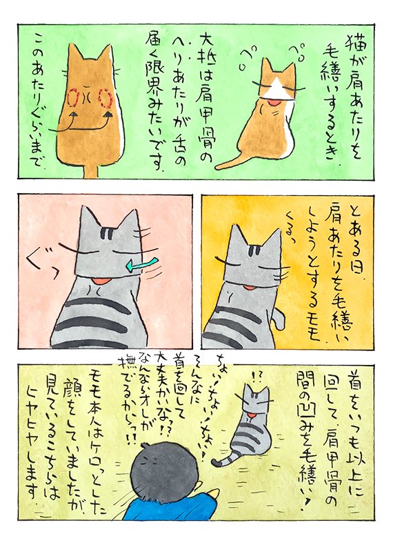 怖いんですけど│フェリシモ猫部 https://t.co/2k1xanrXLU 