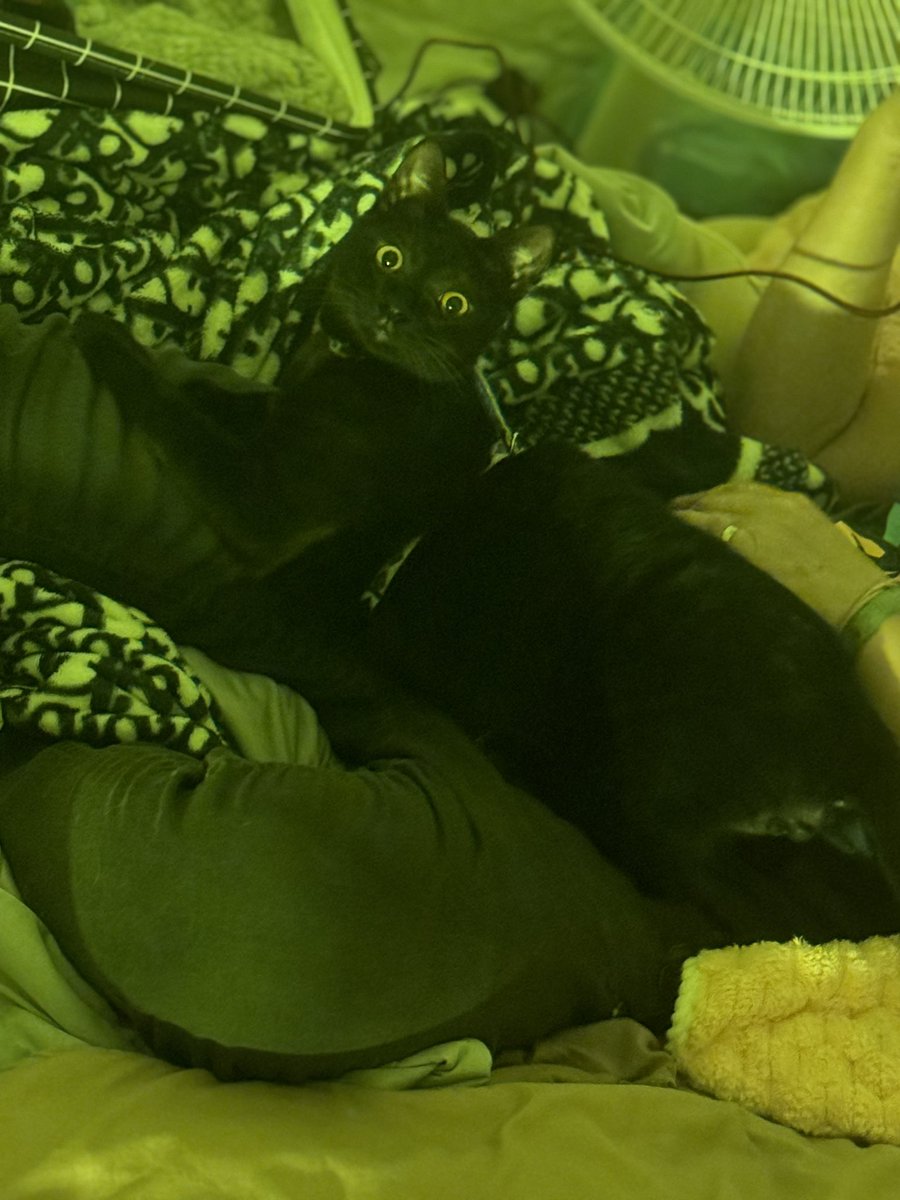 減肥Day1
在看這次能堅持多久…