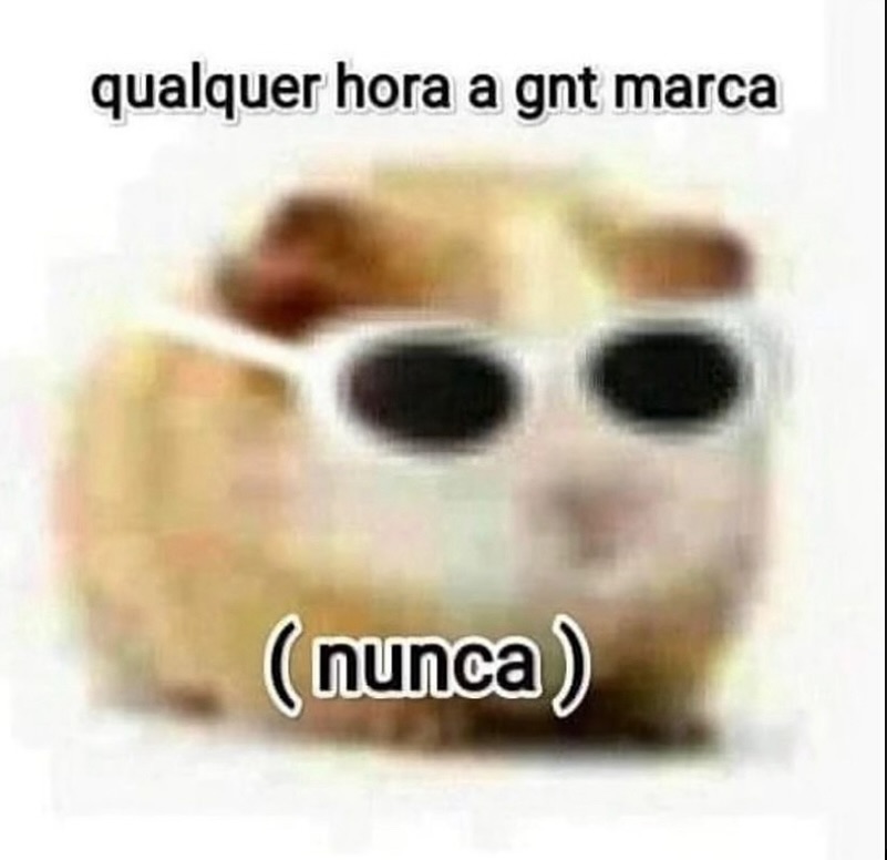 perfil dedicado a gatinhos e peitos (@odeiootaco) on Twitter photo 