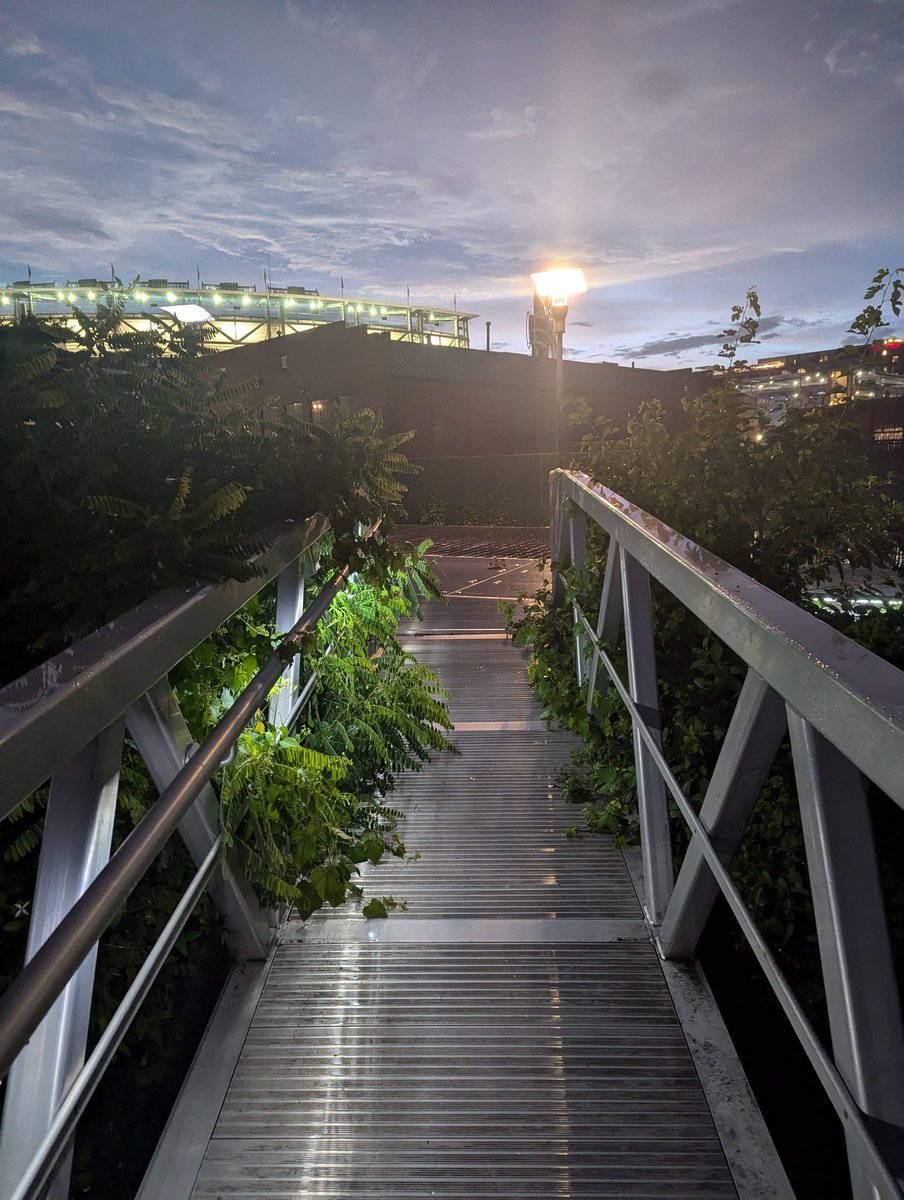 bøşſї tweet media