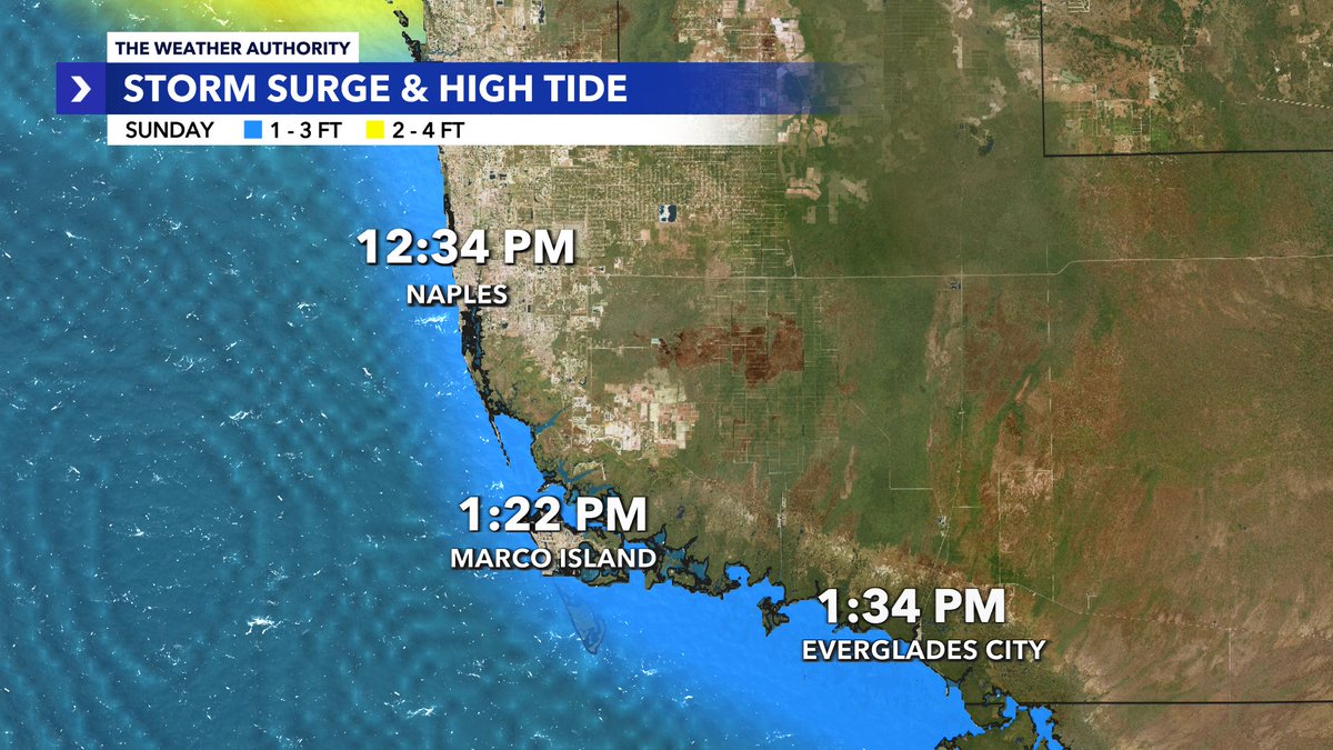 Matt Devitt tweet media