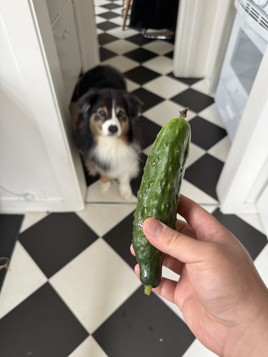 torehan 🌁 tweet media