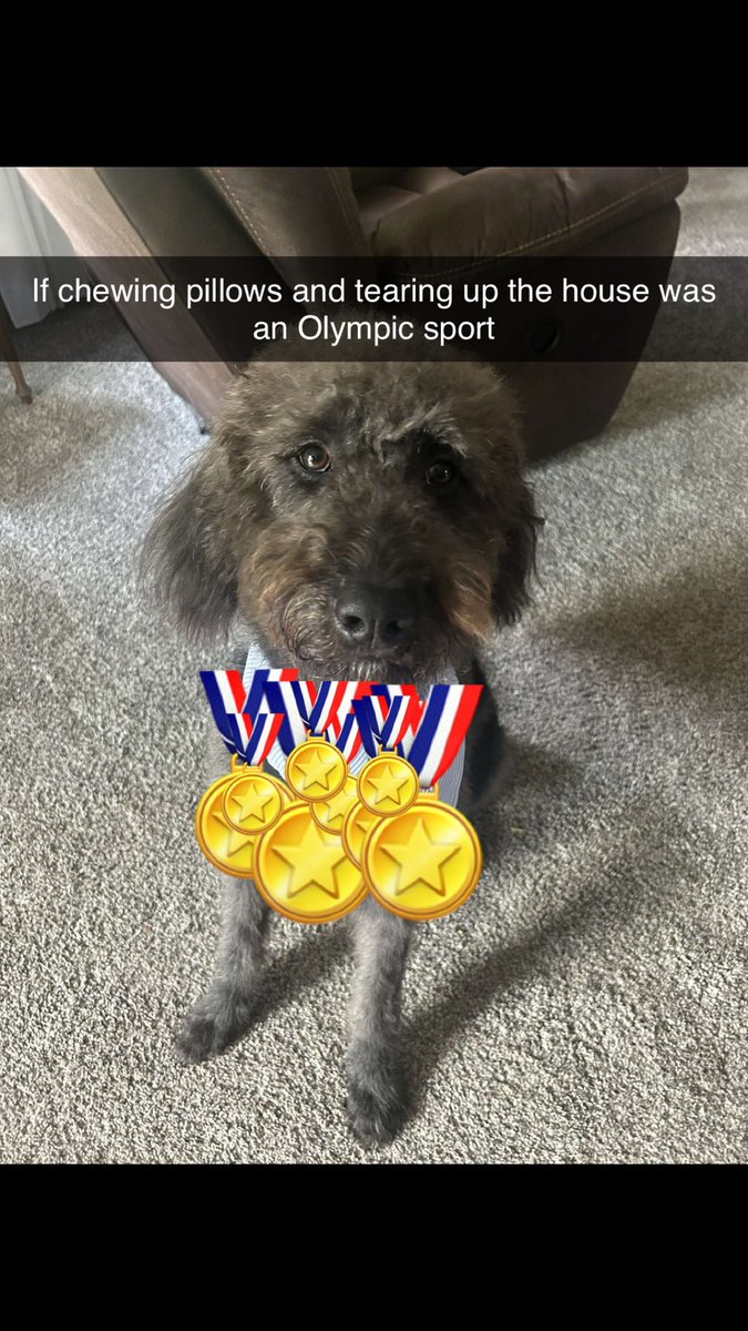 Austin Dobbels tweet media