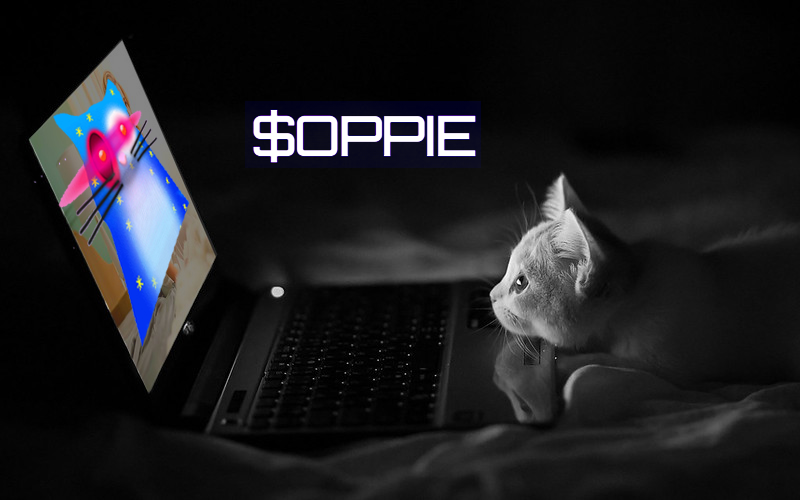 twitflux1's tweet photo. I know everybody loves $OPPIE - but cats seem to have a much deeper connection.
Maybe quantum entanglement or just fascinated by Schrodinger's cat....??๐
What do you think?
#Solana #BTC #OP_CAT #QuantumEntangled https://t.co/KGimb5FZ4R
