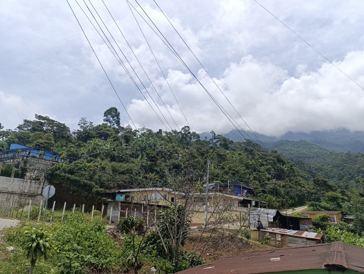 MOSCAMEDGT's tweet photo. ► Visitamos al señor Eddy Zapet, donde aprovechamos la visita para realizar un video donde nos cuenta su testimonio del apoyo que el Programa MOSCAMED le a brindado con las asistencias en su parcela de café.

#Moscamed #Frutas #Mosca #Guatemala #SanMarcos https://t.co/WDdCKBUgwA