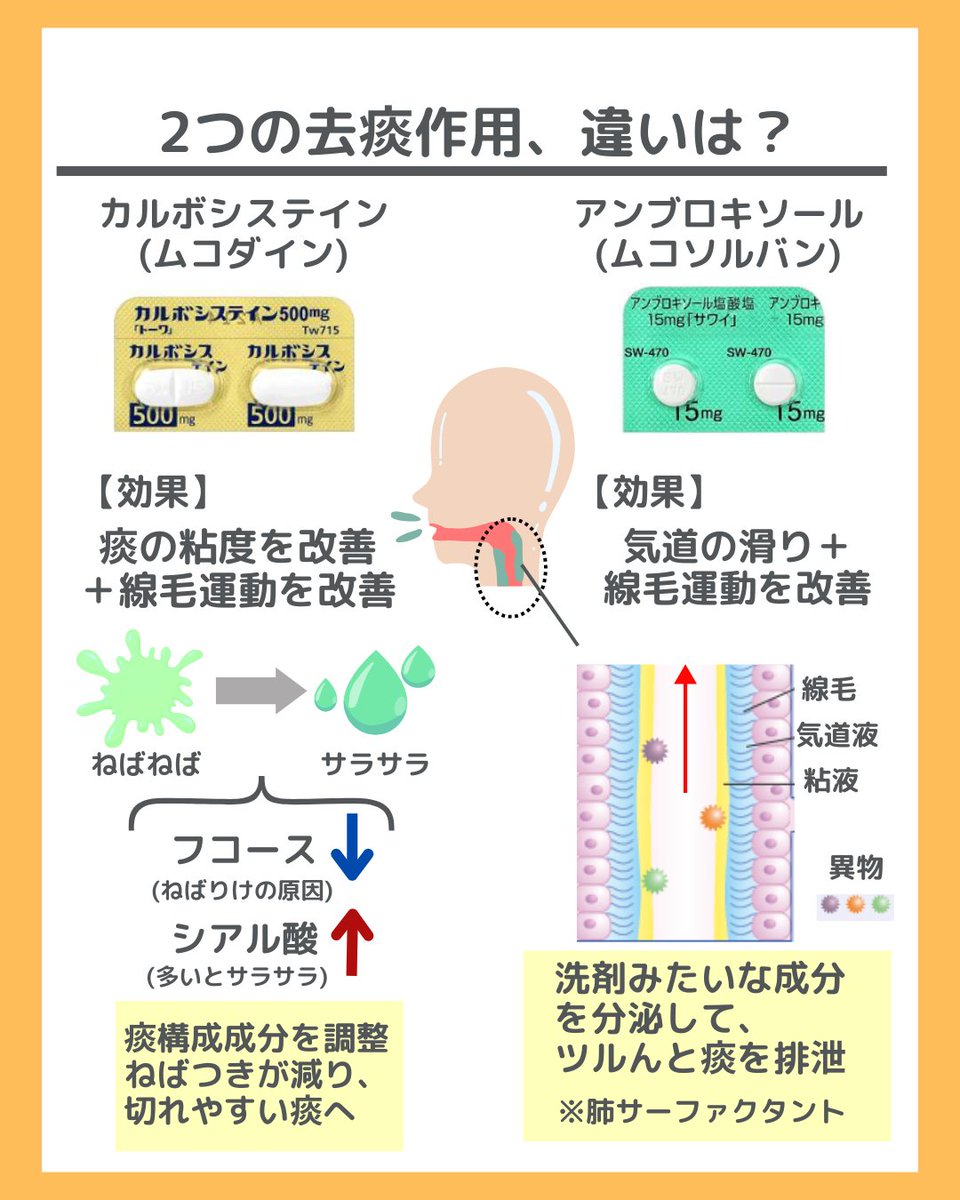 カルボ システイン 効果