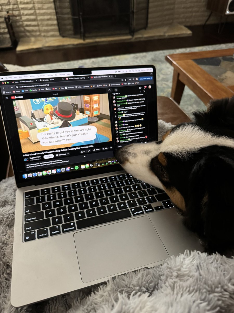 lindseylevelsup's tweet photo. Saturday @tagbacktv stream with my buddy 🎮🐶🐾 https://t.co/JZ2XvcOCn5
