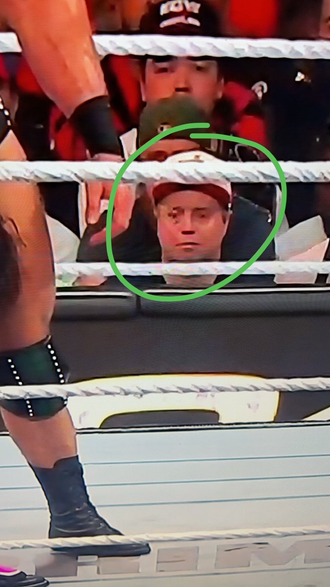 This guy is a fucking douche bag. Making dumb faces all night. Go home loser. #SummerSlam
