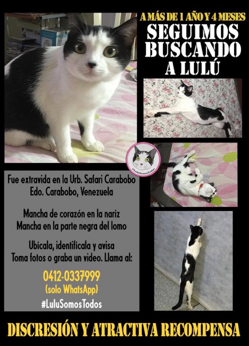 CarmenZR04's tweet photo. #DevuelvanALulu https://t.co/L5O8ltnkEE