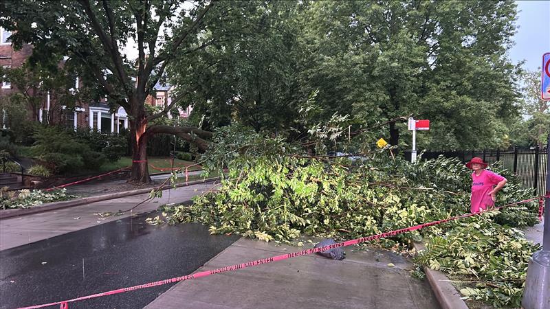 DC Homeland Security & Emergency Management tweet media