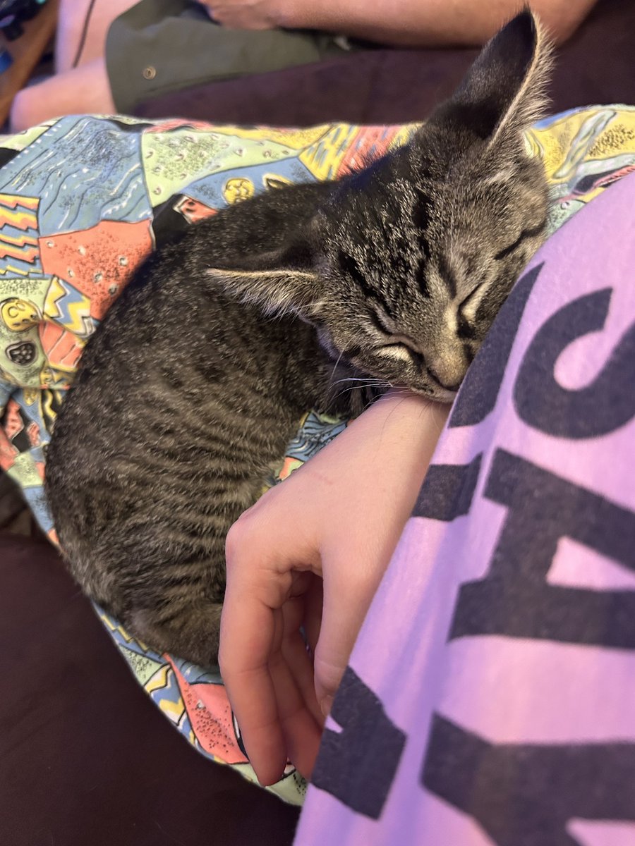 i’ve been home for 10mins