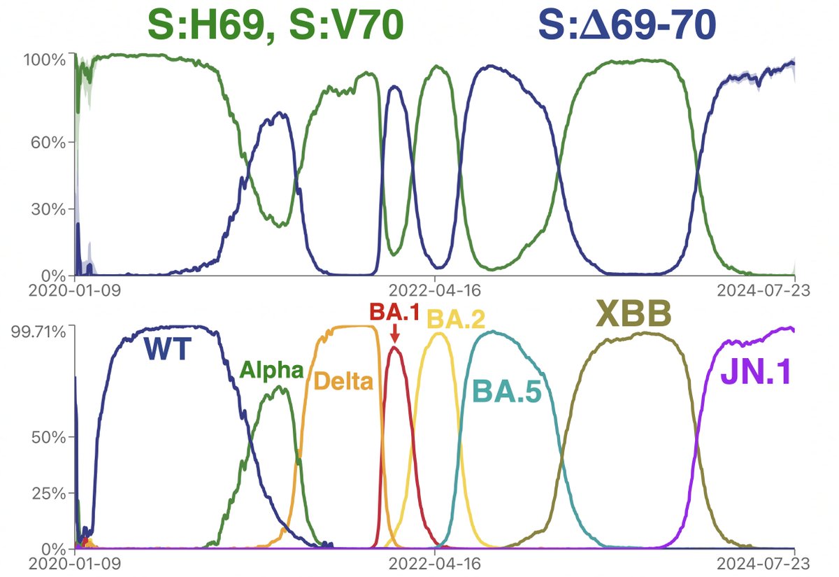 LongDesertTrain's tweet photo. I'm too exhausted to elaborate on this today, but here's an updated CovSpectrum graph of the ∆69-70/H69,V70 pendulum swing, complete with the major variant in each wave. 

This bizarre alternation remains a deep mystery, at least as far as I know. 1/3 https://t.co/p4nhzNWt7t