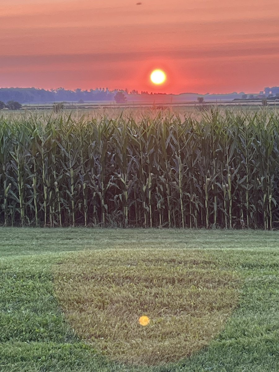 Sunsets and nice looking corn!!