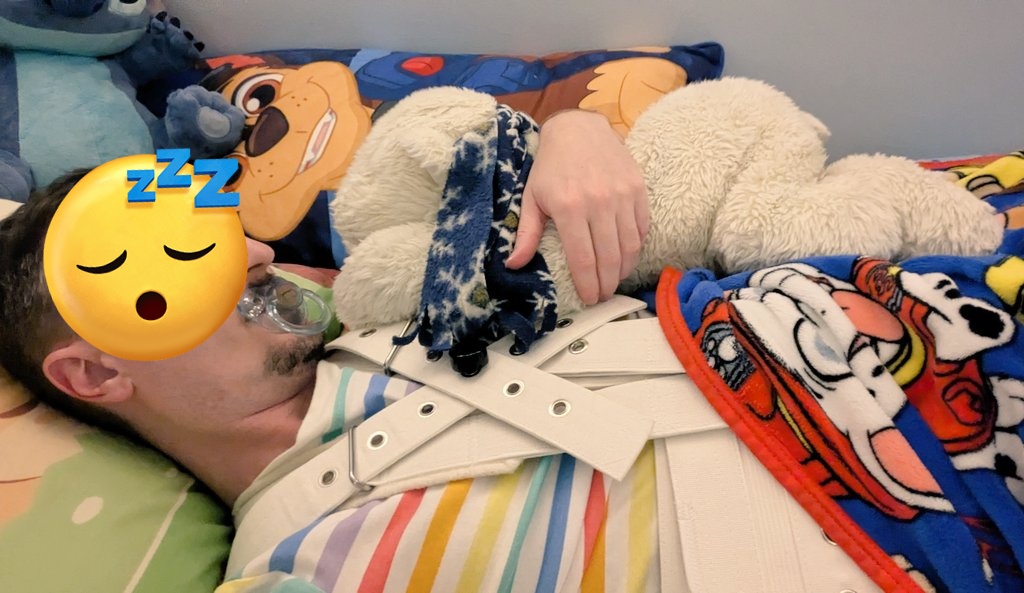 Inu_Chu's tweet photo. Snoozy time for babies in the Segufix. https://t.co/KaeNdaWyMH