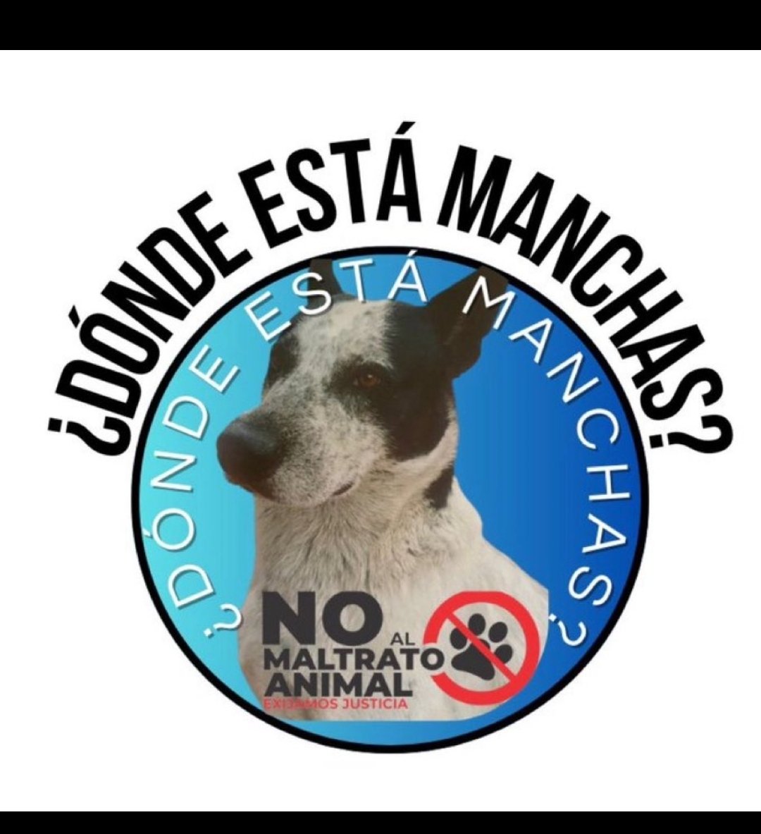 gaspy19's tweet photo. #3deAgosto  #DondeestaManchas 🐕  @Farmatodo. https://t.co/h03oFrnALT