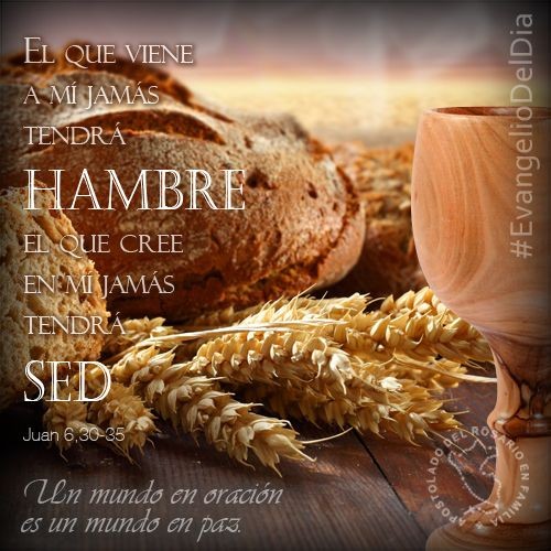 Ven, Señor, en ayuda de tus hijos, derrama tu bondad inagotable sobre los que te suplican y renueva y protege la obra de tus manos en favor de los que te alaban como creador y como guía. Por nuestro Señor Jesucristo, tu Hijo, que vive y reina contigo. Amén