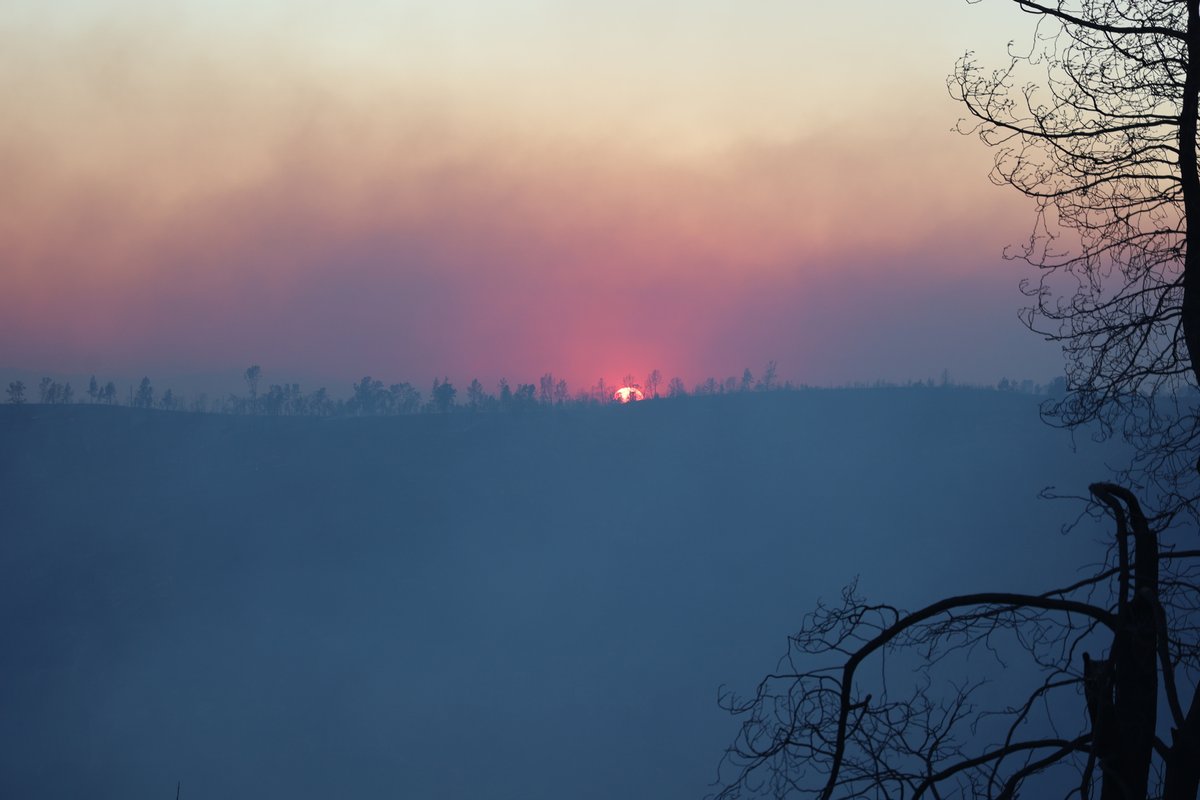 CAL FIRE/Butte County Fire Department tweet media