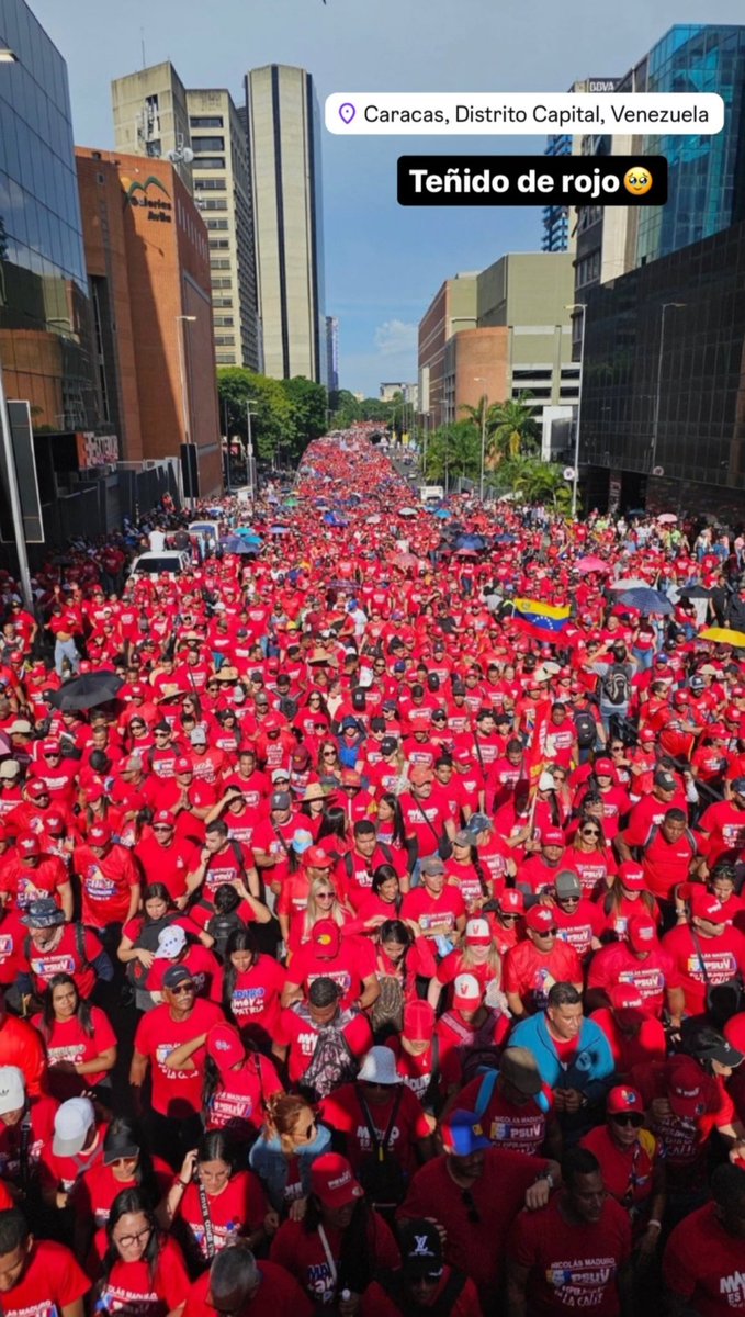 Champa Galiotti tweet media