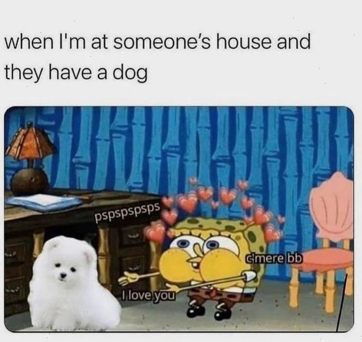 WholesomeMemes (@wholesomememe) on Twitter photo 