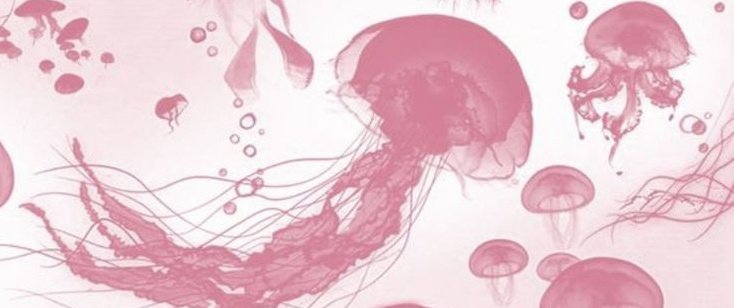 foxinyart's tweet image. ⌕ : #studytwt #lovelytwt #booktwt #collegetwt

✰ ela/dela, 2004
✰ arq&amp;amp;urb (2023–atual.)
✰ design de interiores (20–22)
  
𖹭: stray kids, dança, música, livros, rosa, caça-palavras, doramas, bls, fórmula 1...