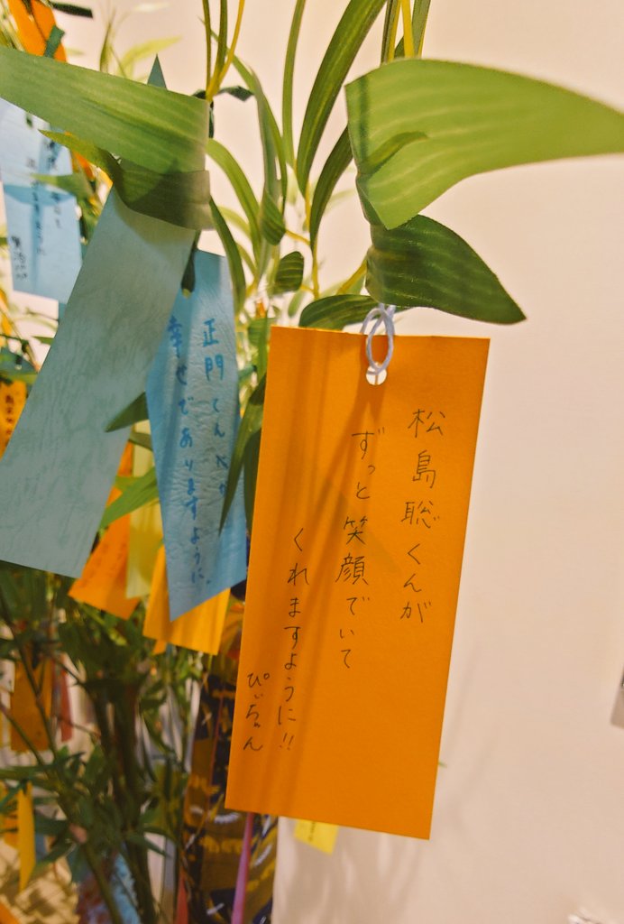 ぴぃちゃん🐥 tweet media