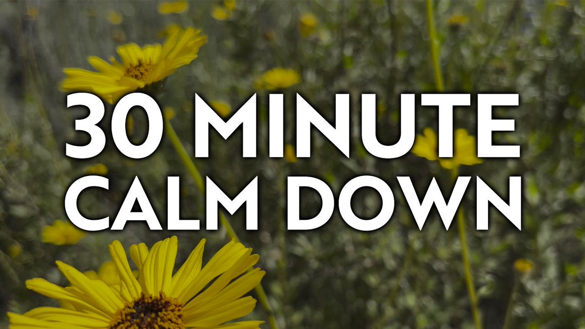 This week’s #meditation is up on #Youtube 💗 Please subscribe and help me get to 1000 🙏🙏🙏

30 Minute Meditation for Relaxation, Anxiety Relief, and Sleep with Ambient Music
youtu.be/qJQlmCRSSzs