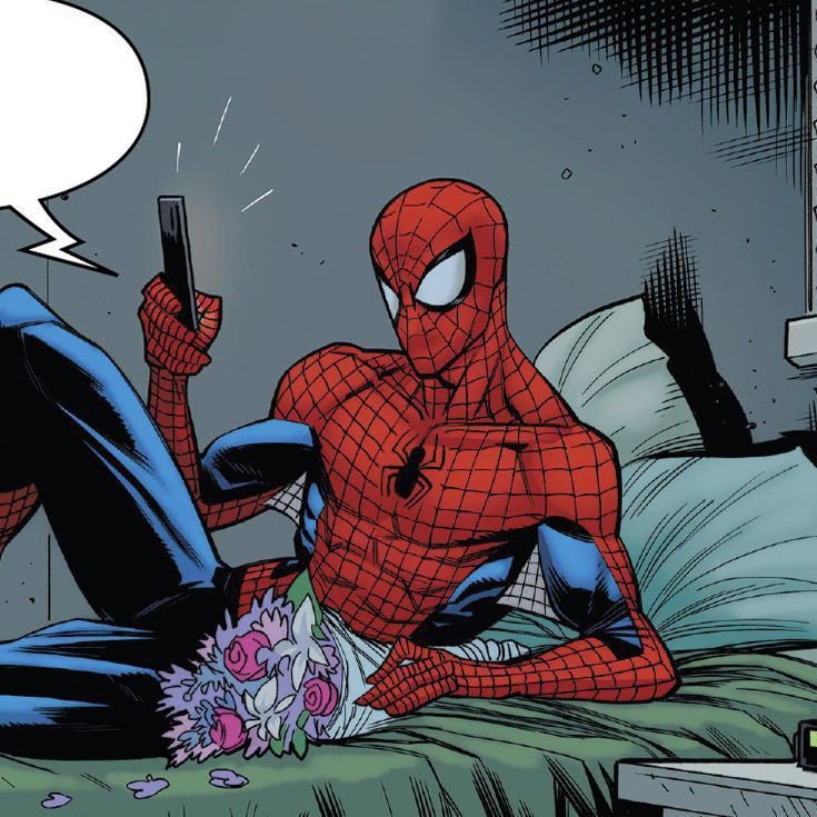 spidertwnk's tweet image. ⠀⠀━━  busco mutuals ✩

Oli, su amigable vecino spiderman reportandosé! #anitwt #animetwt #bottwt #loqueusenloschabostwt

ㅤㅤ fav  +  rt  =  mutuals. ♡