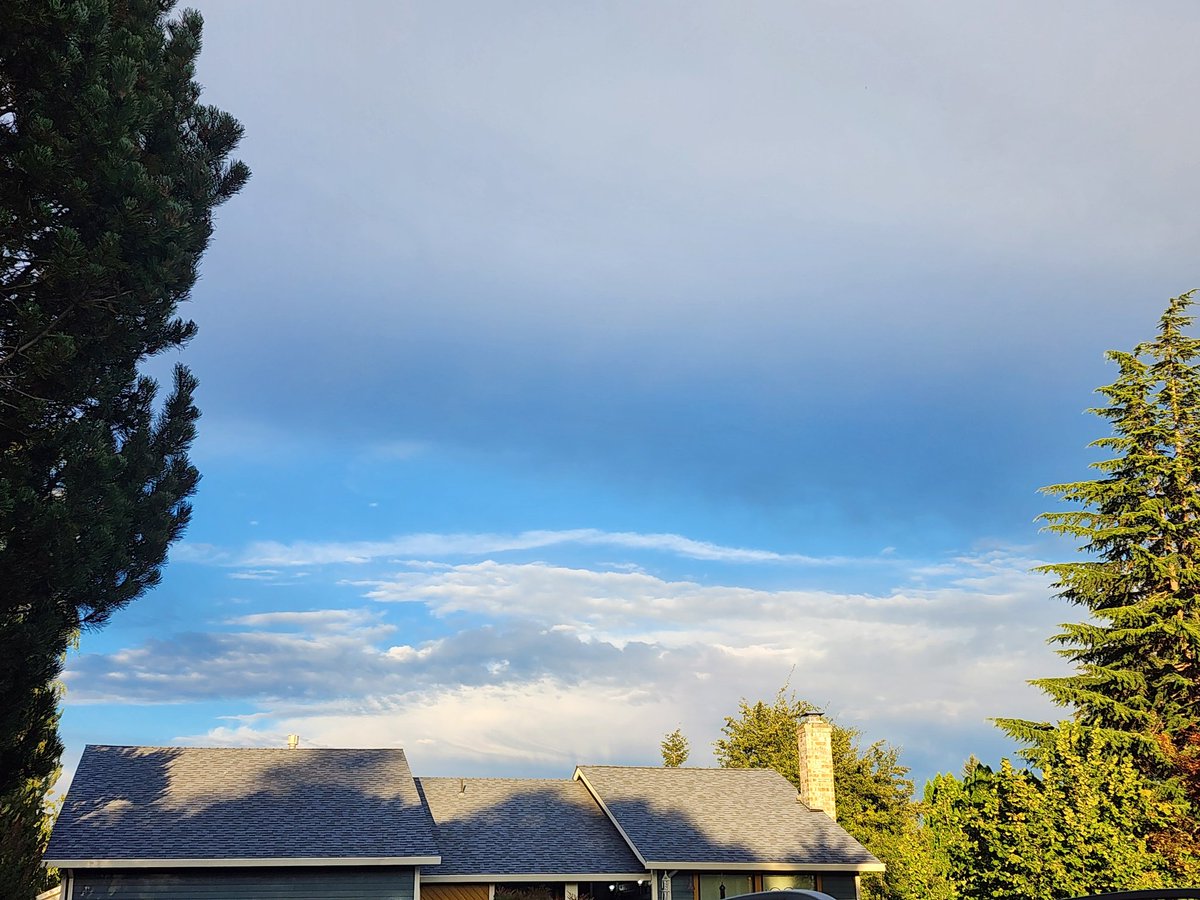 fetalkitty's tweet image. Sorry