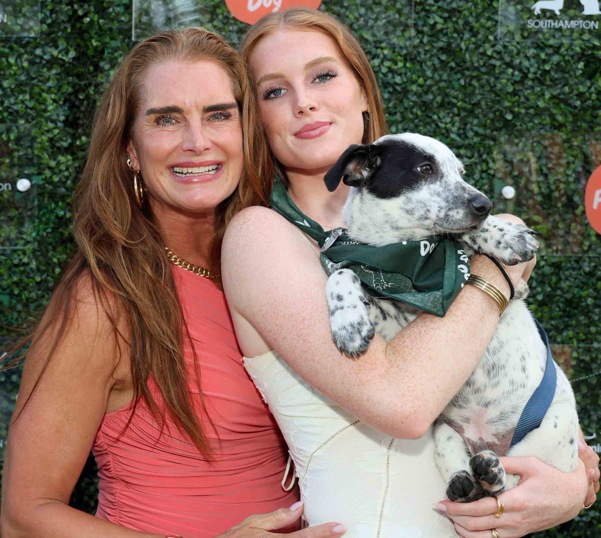 .<a href="/LawlorMedia/">Lawlor Media Group</a> .<a href="/JeanShafiroff/">Jean Shafiroff</a>           SOUTHAMPTON ANIMAL SHELTER FOUNDATION'S 15TH ANNUAL UNCONDITIONAL LOVE GALA  timessquaregossip.com/2024/08/southa…
