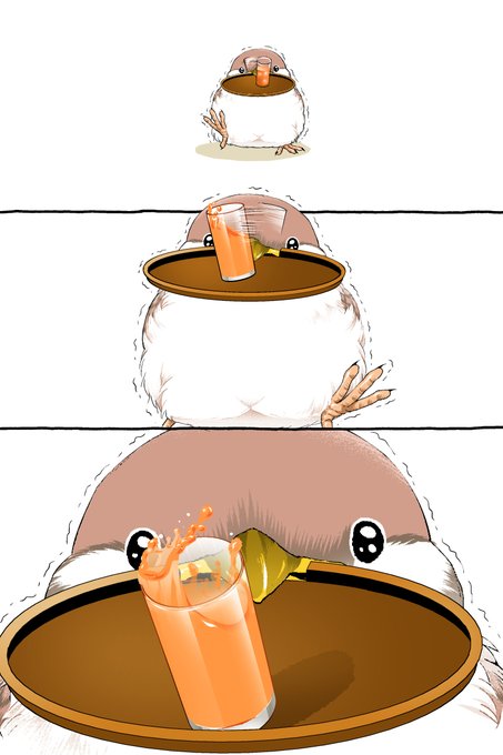 すいぶんほきゅう、どぞ 