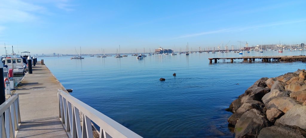 Last night I went to a good friend’s fiftieth birthday in the city. So I thought to romance myself and splurge on a room with a bath. First bed on land since November last year. Then woke up to this stunning day. The hangover can’t dampen my enthusiasm for a gorgeous day. ❤️