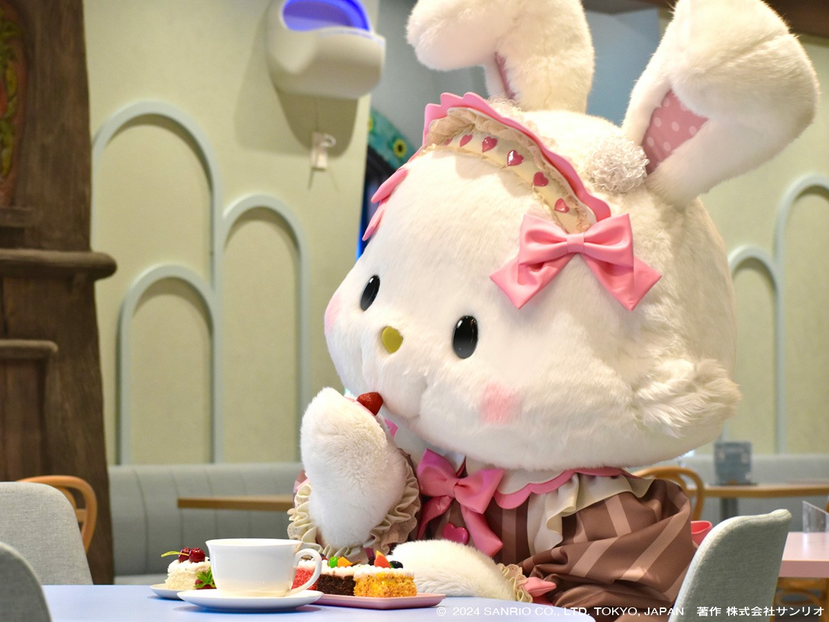 9月20日はメルのお誕生日🎂 メルと一緒に今年も思い出を作ろっ！ 9月17