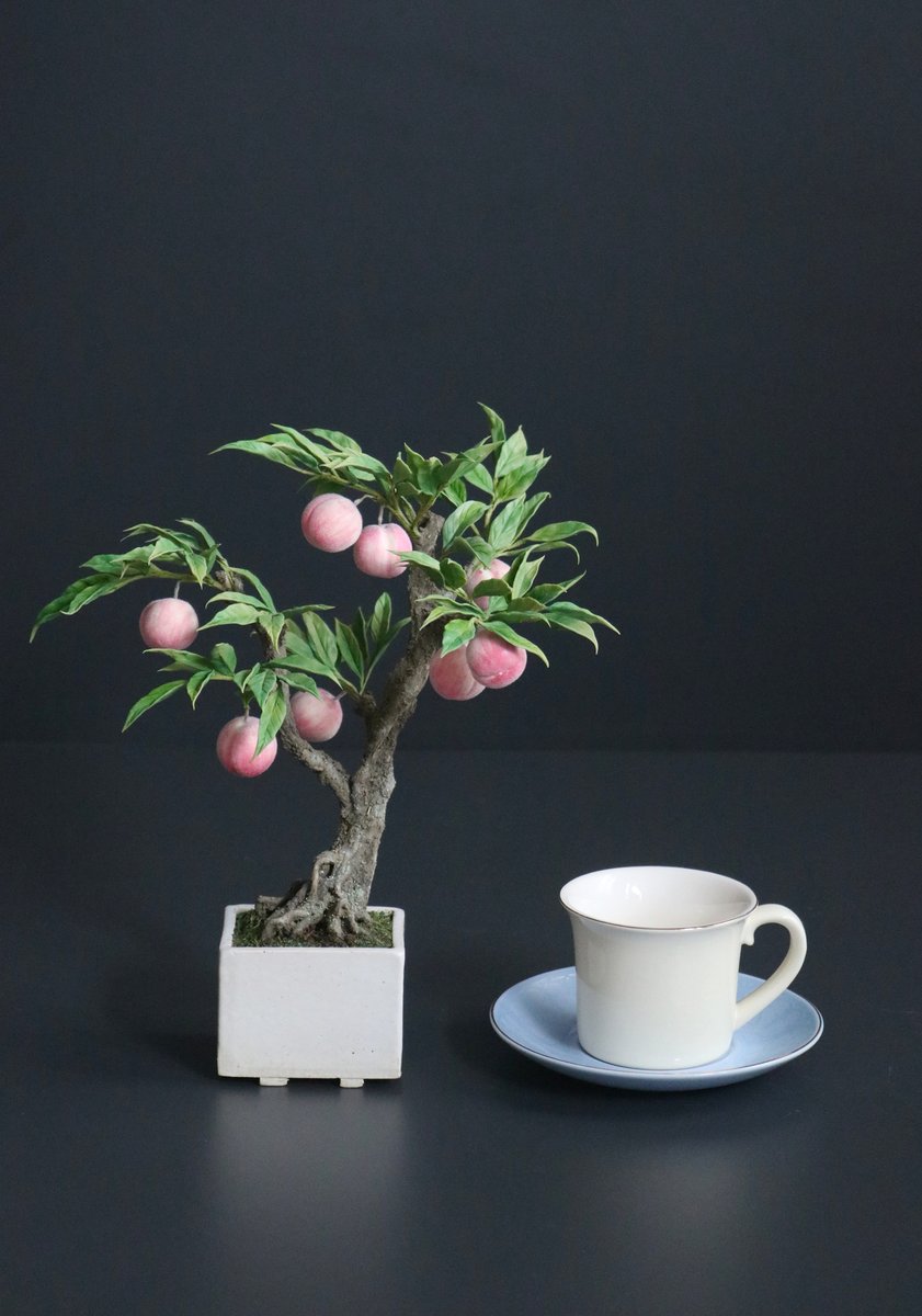 Oh_Bonsai's tweet photo. Hand-made #peach #bonsai, using clay, paper and wire. Available to ship overseas from.

新作 #桃 の #盆栽🍑
樹脂粘土に絵の具で色付けした手作りの品です。
H29　W25　D22

手土産や桐箱入贈答品としてもいかがでしょう。

📱050-5898-3524
（tel受付は水・日・祝を除く11時～17時) https://t.co/23AiJxHU2m