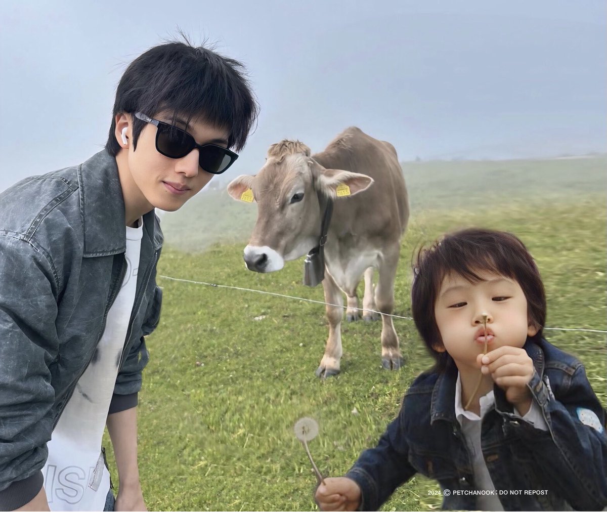 ซ้าย : สิ่งที่จีซองลงและเห็น   ขวา : สิ่งที่วัวที่สวิสและดรีมเส้นเห็น