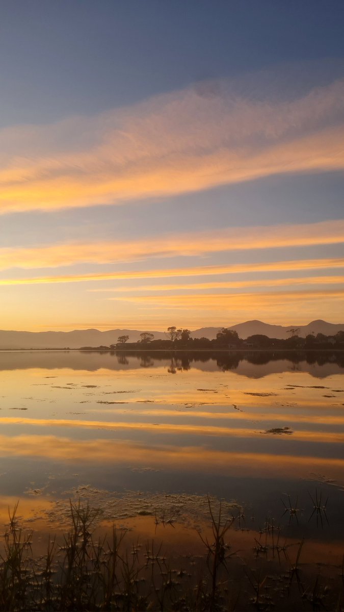 gotravelbug's tweet image. Sedgefield sunset from Swartvlei lake 😍 
#Sedgefield #GardenRoute 
@SANParksGRNP @GardenRoute_DM