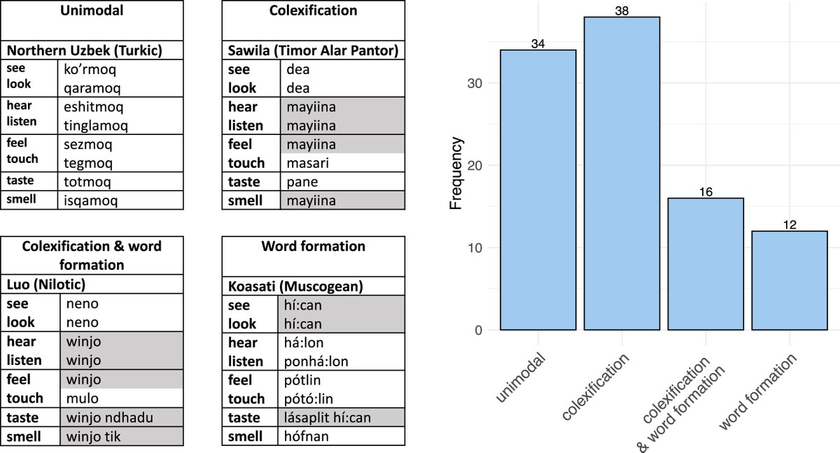 Asifa Majid (@asifa_majid) on Twitter photo New paper: Word formation patterns in the perception domain: A typological study of cross-modal semantic associations <a href="/ejnorcliffe/">Elisabeth Norcliffe</a> #OA degruyter.com/document/doi/1… New paper: Word formation patterns in the perception domain: A typological study of cross-modal semantic associations <a href="/ejnorcliffe/">Elisabeth Norcliffe</a> #OA degruyter.com/document/doi/1…