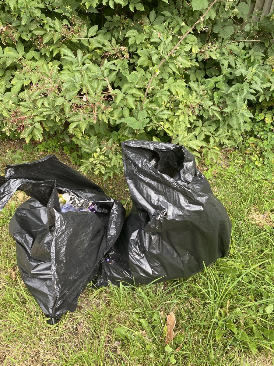 Two bags before breakfast #henleyhateslitter