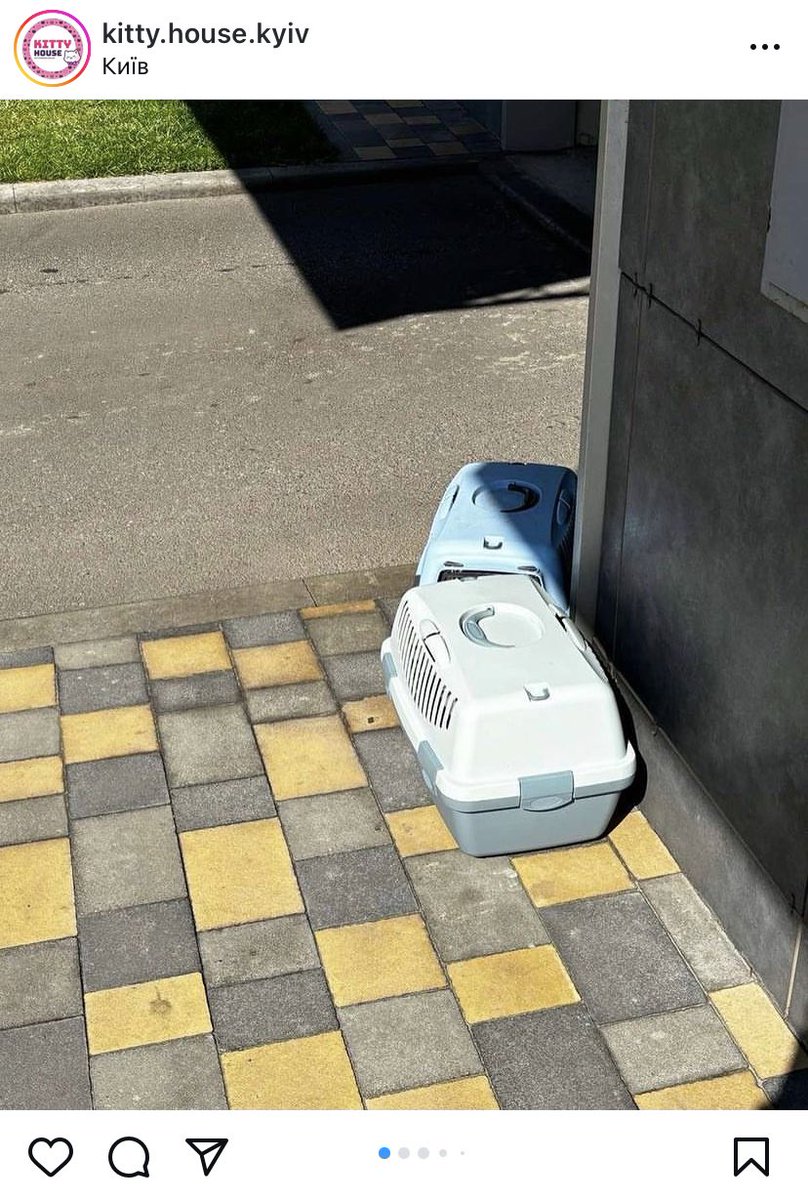 homobanderivka's tweet image. Я давно неоднозначно ставилась до цього притулку, але після відео, де вони показово викидають кошенят, щоб «покарати» жінку, що їх підкинула – це піздєц.

Ще й переноски забрали собі, бо їм же в потребі будуть. 

Всі ці приватні і модні притулки викликають все більше питань.