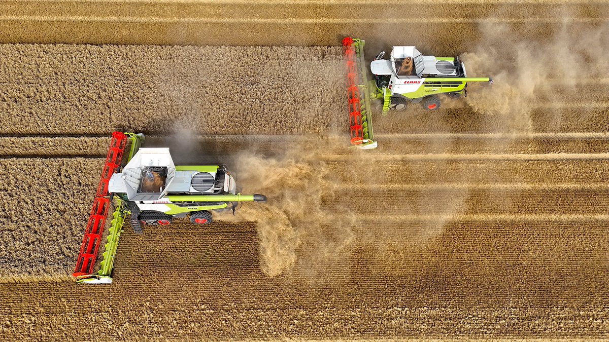 Tractorspotter's tweet photo. Bij de #kmwp was de graanoogst wel heel snel binnen dit jaar. En dat lag niet alleen aan de lagere opbrengsten.
π₯-> https://t.co/ywSUlGOG5A https://t.co/t86dveeql5