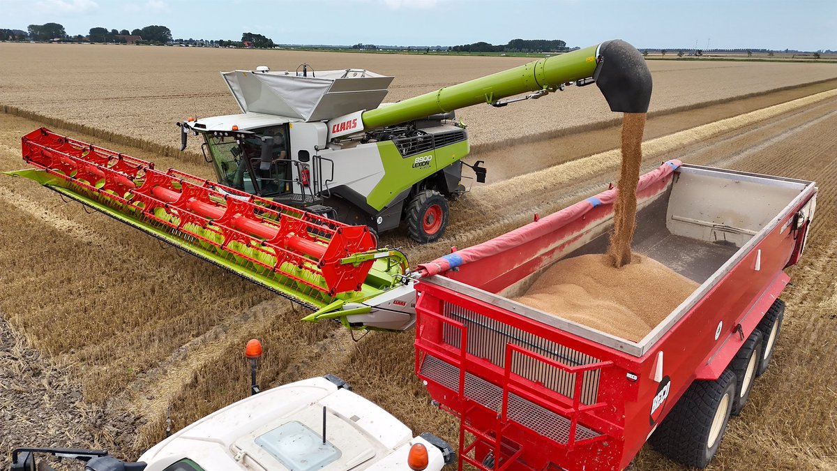 Tractorspotter's tweet photo. Bij de #kmwp was de graanoogst wel heel snel binnen dit jaar. En dat lag niet alleen aan de lagere opbrengsten.
π₯-> https://t.co/ywSUlGOG5A https://t.co/t86dveeql5