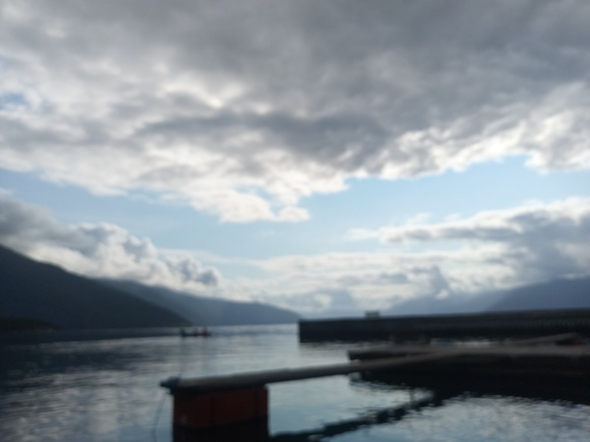 Norway this week was magical, makes me homesick every time I go
