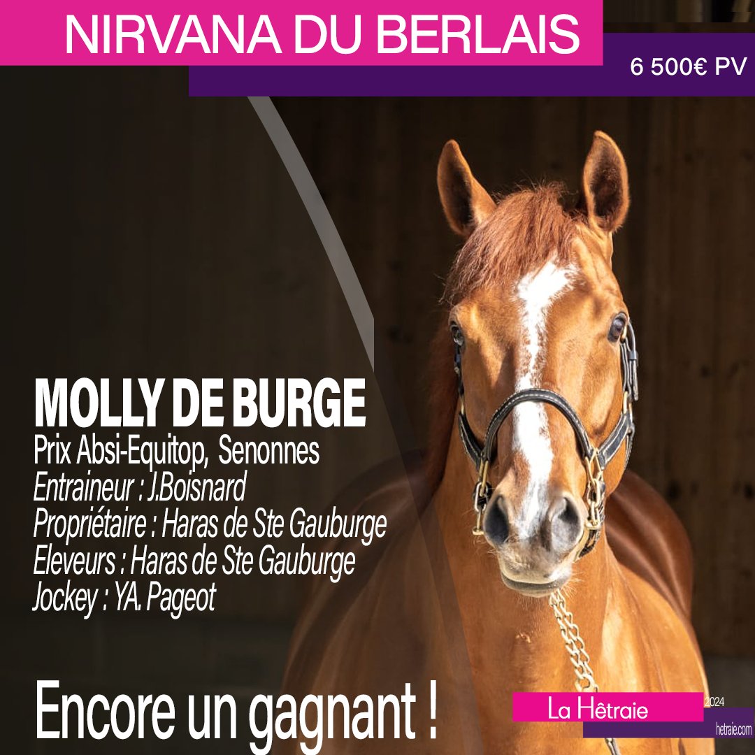 Haras de la Hetraie tweet media