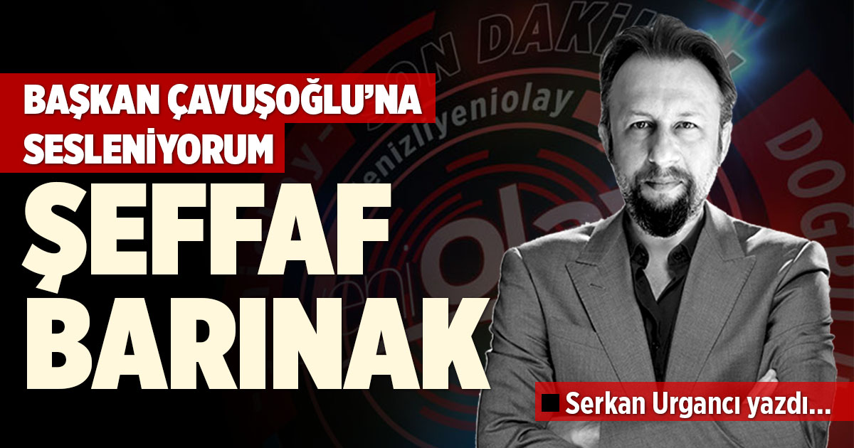 Barınağın her noktasına kamera koyun ve canlı görüntülere erişim verin.
Barınaktan köpek sahiplenmek isteyenlere süresiz mama ve rutin sağlık denetimi desteği sağlayın.
denizliyeniolay.com/kose-yazilari/… #SokakHayvanlarıKimsesizDeğil <a href="/BNuriCavusoglu/">Bülent Nuri Çavuşoğlu</a>