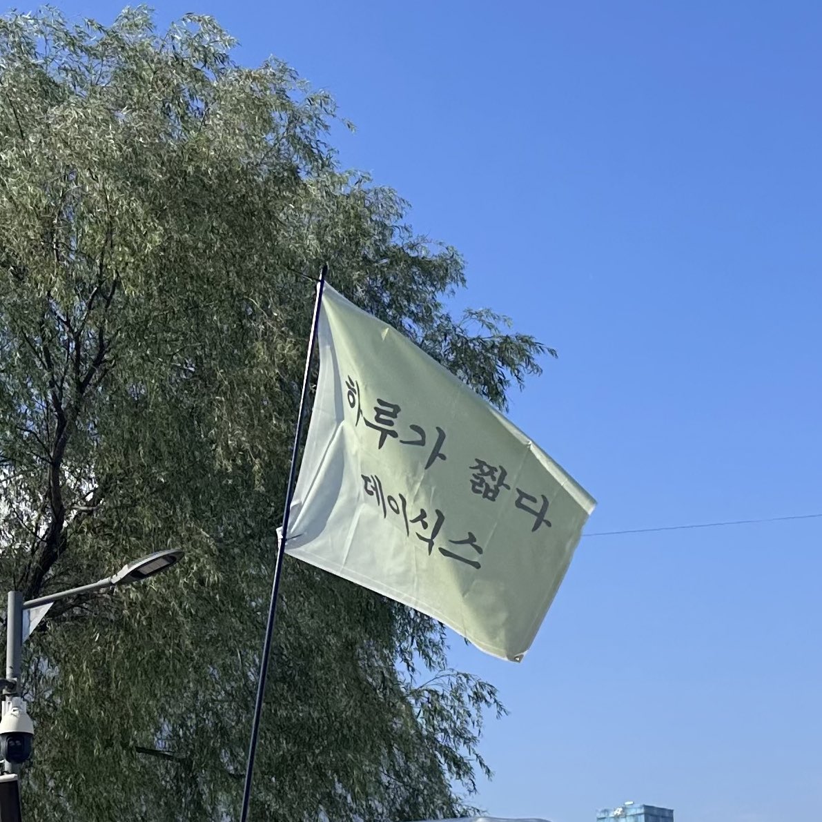 eatyoungk's tweet photo. bendera-bendera deysics yang kemarin dan hari ini berkibar di pentaportโผ๏ธ #mantaps ๐ซก https://t.co/kXjpBk02cA