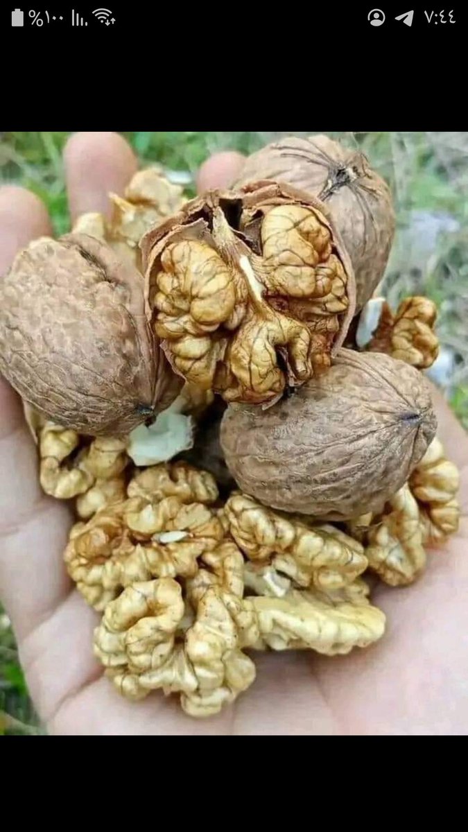 ماذا تحبون من الكرزات